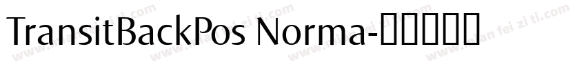 TransitBackPos Norma字体转换
